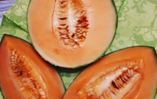 Melonen sind Früchte mit hohem Wassergehalt